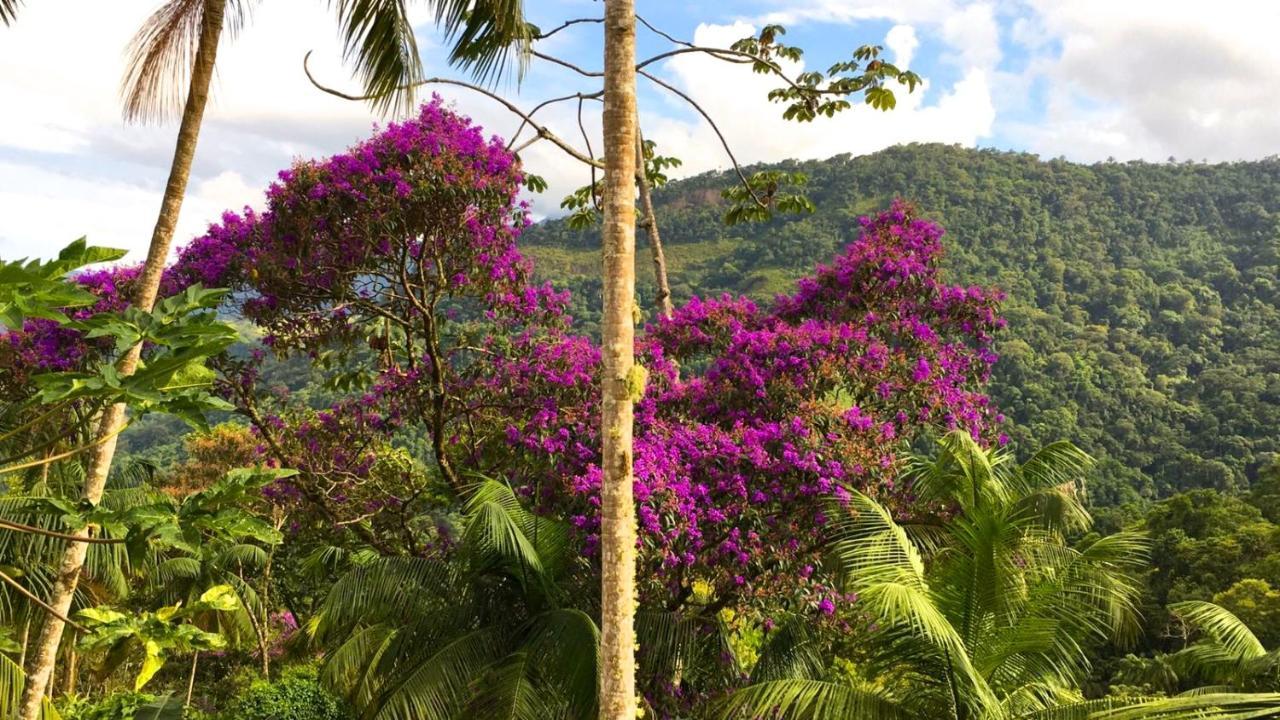 Casa Da Floresta Pico Da Aguia Araquari Eksteriør bilde