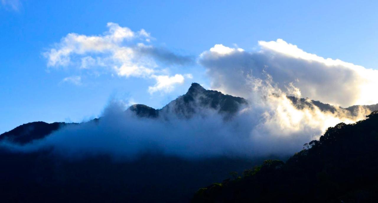 Casa Da Floresta Pico Da Aguia Araquari Eksteriør bilde