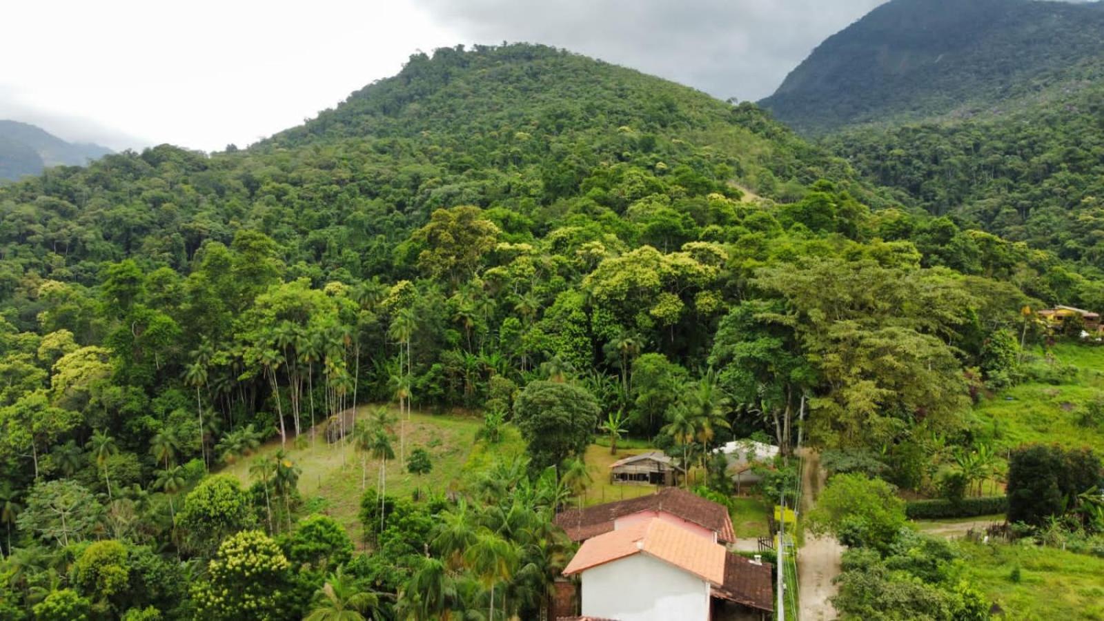 Casa Da Floresta Pico Da Aguia Araquari Eksteriør bilde
