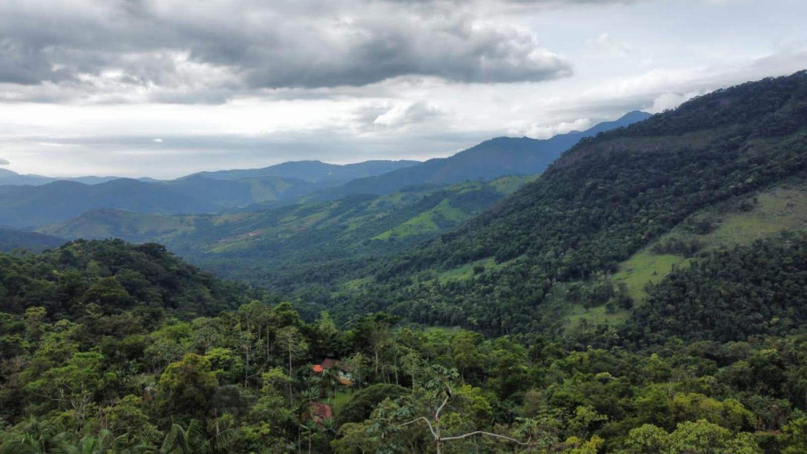 Casa Da Floresta Pico Da Aguia Araquari Eksteriør bilde