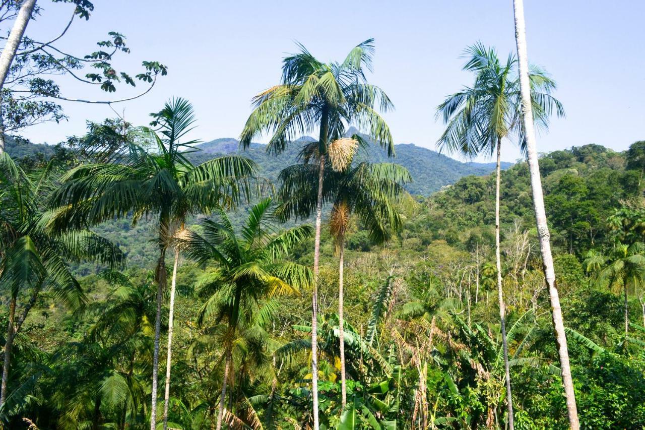 Casa Da Floresta Pico Da Aguia Araquari Eksteriør bilde